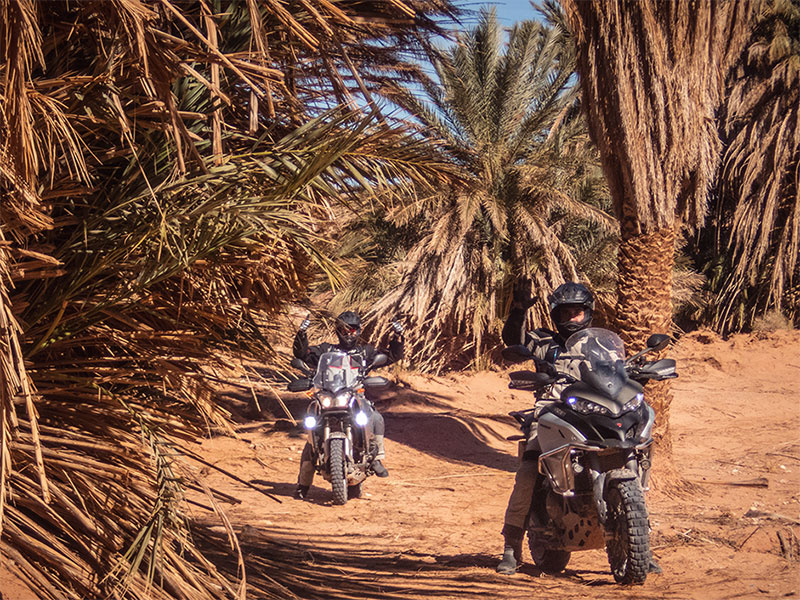 Expedidiciones y travesías en moto para grupos por el desierto de Marruecos