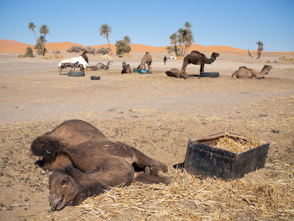 Marruecos en verano